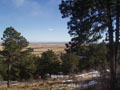 sunny day view towards denver.jpg